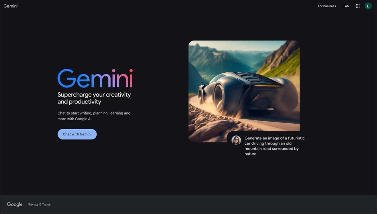 Google Gemini screenshot